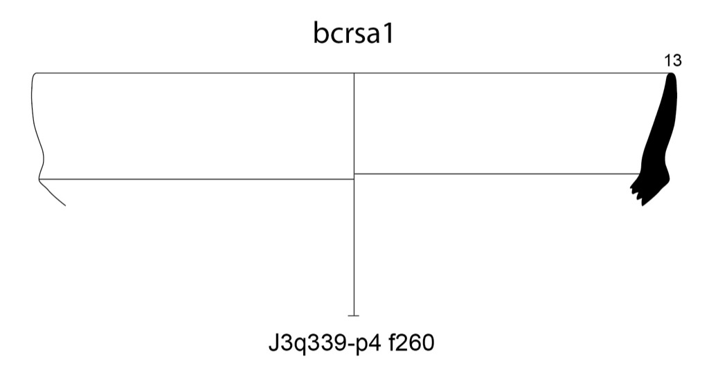 J3q339-p4
