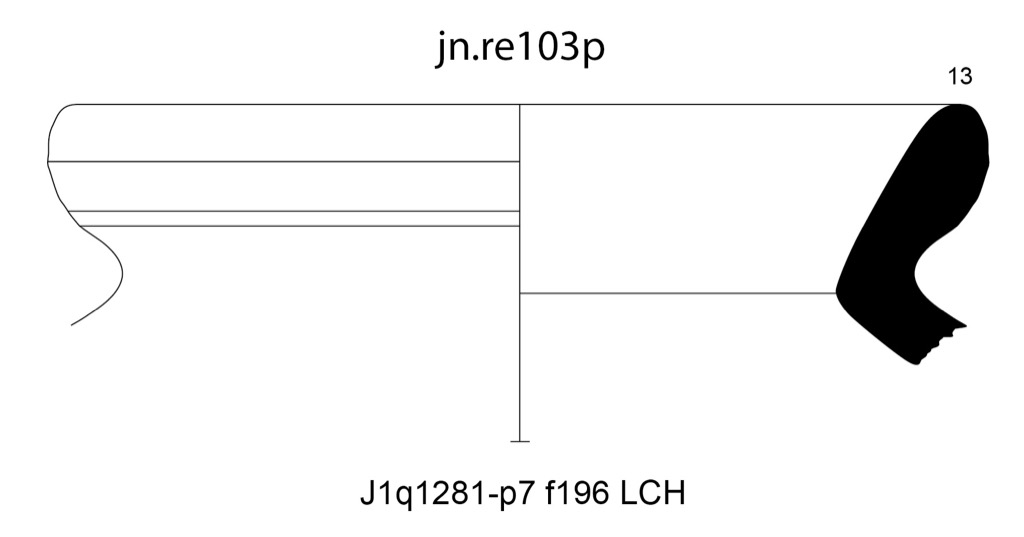 j1q1281-p7